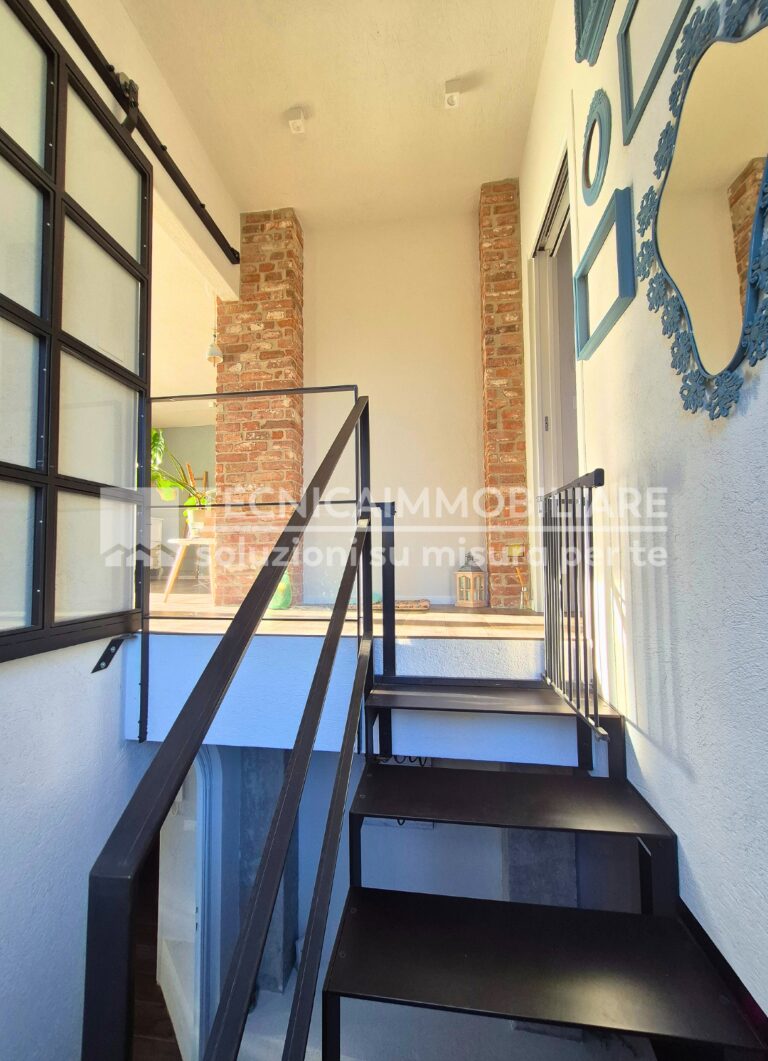 19-1 (Grande) (Media)