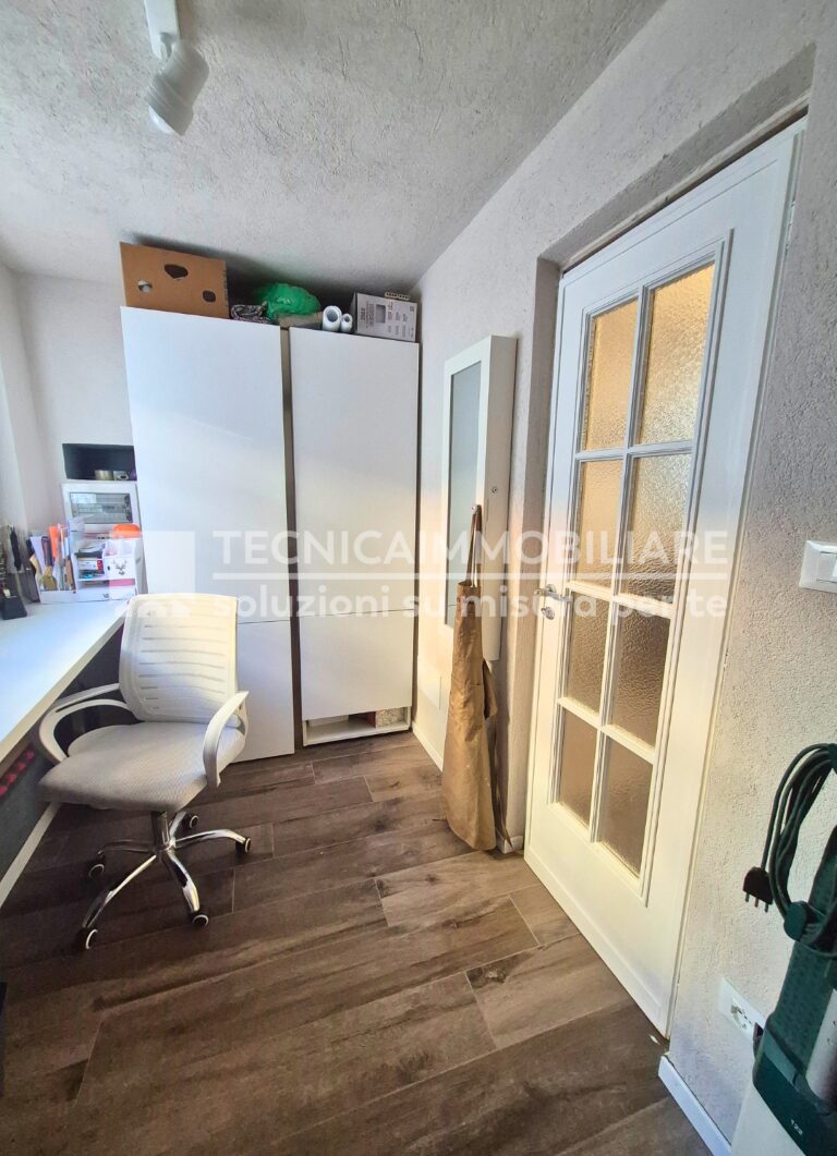 24-1 (Grande) (Media)