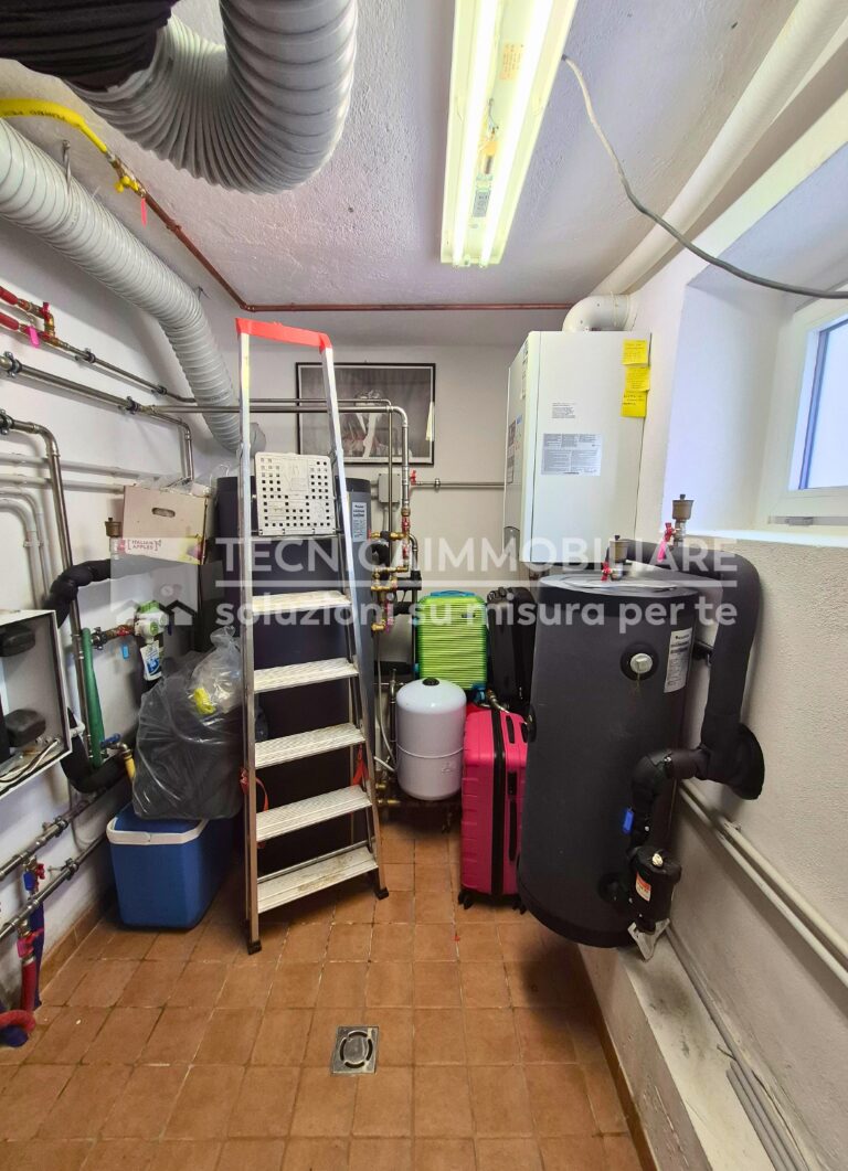 7-1 (Grande) (Media)