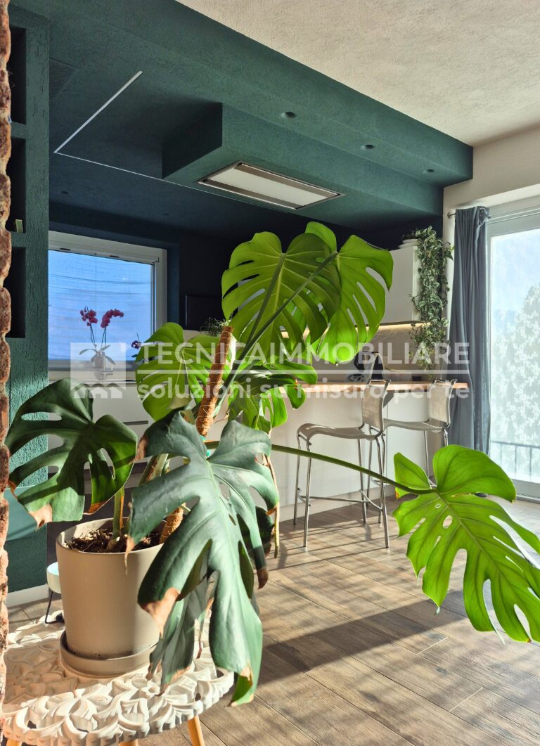 9-1 (Grande) (Media)