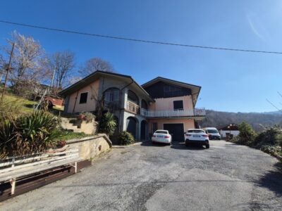 20250320_102903 (Small)