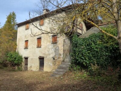 20251027_101723 (Small)